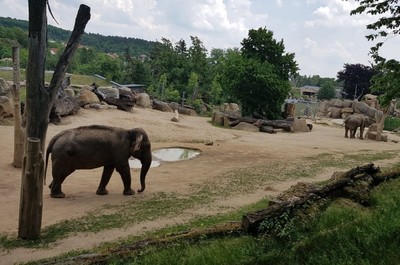 ZOO Praha