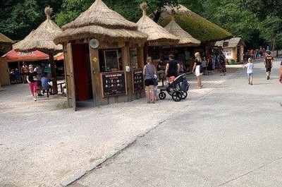 Výlet do ZOO Dvůr Králové