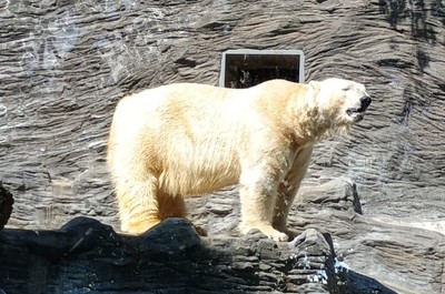 Návštěva ZOO v Praze